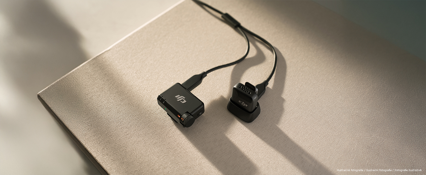 Mic_Mini_SK-8